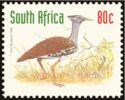 Kori Bustard (Ardeotis kori)