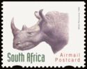 White Rhinoceros (Ceratotherium simum)