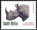 White Rhinoceros (Ceratotherium simum)