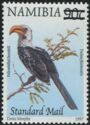 Southern Yellow-billed Hornbill (Tockus flavirostris); surch