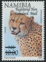 Cheetah (Acinonyx jubatus), surcharge