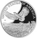 100 Dollars (Eagle in flight over Heartland)