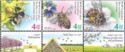 Bees in Israel