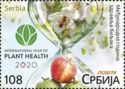 International Year of Plant Health
