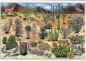 Desert Life