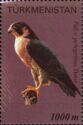 Peregrine Falcon (Falco peregrinus)