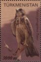 Peregrine Falcon (Falco peregrinus)