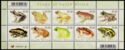 Frogs of South Africa