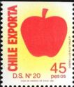 Apple D.S. N.20
