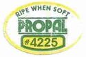 Propal ripe when soft #4225