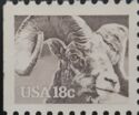 Bighorn Sheep (Ovis canadensis)