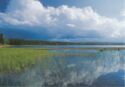 Radiant Lake, Algonquin Provincial Park