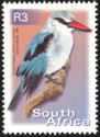 Woodland Kingfisher (Halcyon senegalensis)