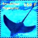 Spotted Eagle Ray (Aetobatus narinari)
