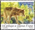 Wolf (Canis lupus)