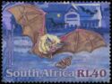 Cape Horseshoe Bat (Rhinolophus capensis)