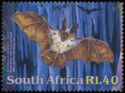 Common Slit-faced Bat (Nycteris thebaica)