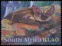 De Winton's Long-eared Bat (Laephotis wintoni)