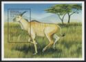 Common Eland (Taurotragus oryx)
