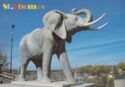 St. Thomas, Jumbo the Elephant