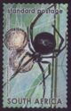 Black Button Spider (Latrodectus)