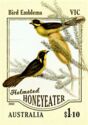 Helmeted Honeyeater (Lichenostomus melanops) - Victoria
