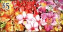 20th World Orchid Conference