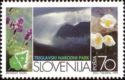 European Nature Conservation Year 1995