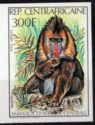 Mandrill (Mandrillus sphinx)