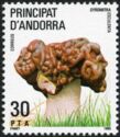 Gyromitra esculenta (False morel)