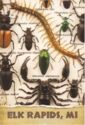 Elk Rapids insects