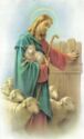 "Jesus - Good Shepherd"