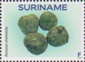 Cherimoya (Annona cherimola)