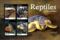 Reptiles of the Caribbean