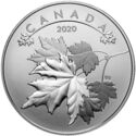 10 Dollars (O Canada! - Maple Leaves)