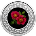 3 Dollars (Alberta: Wild Rose)