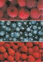 Berries