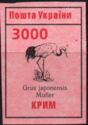 CRANE : Grus japonensis Muller