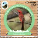 Vermilion Cardinal (Cardinalis phoeniceus)