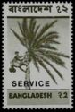 Date Tree - Overprinted