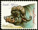 Buffalo (Syncerus caffer)