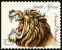 Lion (Panthera leo)