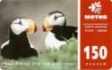 Puffin Birds