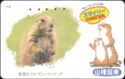 Prairie dog / Yamatane
