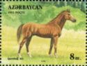 Karabakh Horse (Equus ferus caballus)