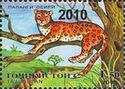 Leopard (Panthera pardus) - Overprint