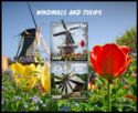 Windmills and Tulips