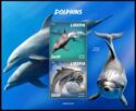 Dolphins