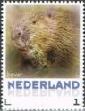 切手:-Eurasian-Beaver-(Castor-fiber)-(オランダ:-パーソナライズされた切手)