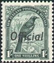 Tui (Prosthemadera novaeseelandiae) (Overprint)
